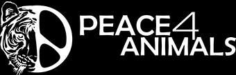 Peace 4 Animals Logo
