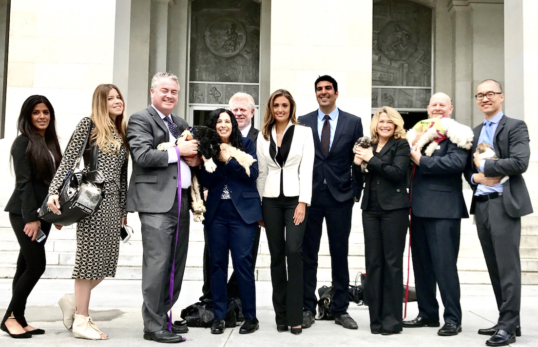 Peace 4 Animals' Legislative Partner, Social Compassion In Legislation (SCIL) Passes Two Bills In The First Committee At The California State Assembly.