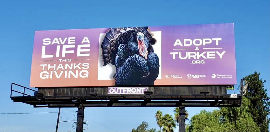 adopt a turkey billboard campaign