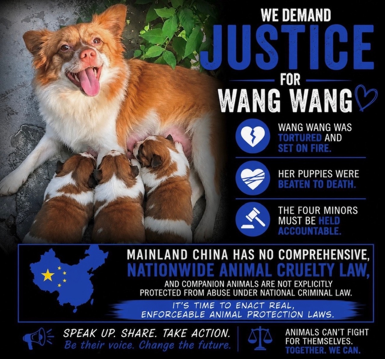 WangWang